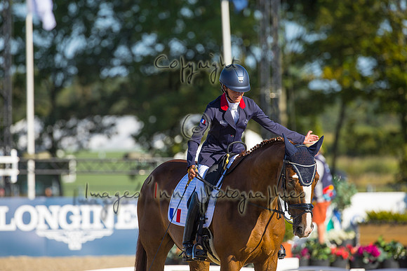 Anne Frederique Royon-Quaterboy LH-HERN22L102308