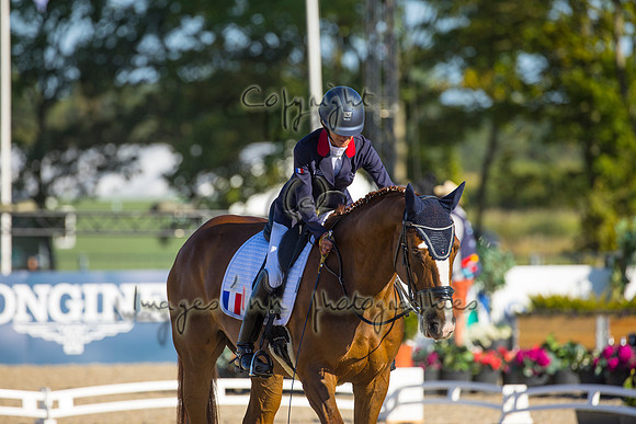 Anne Frederique Royon-Quaterboy LH-HERN22L102314