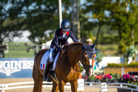 Anne Frederique Royon-Quaterboy LH-HERN22L102322
