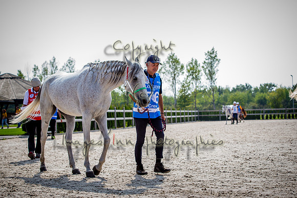 20160916_EKL_0019