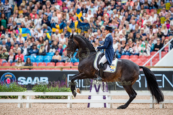 20170826_EKL_0141