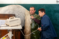 20080717_EKL_0011