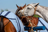 20090826_EKL_0008