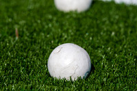 20090826_EKL_0017