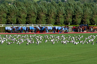 20090826_EKL_0019
