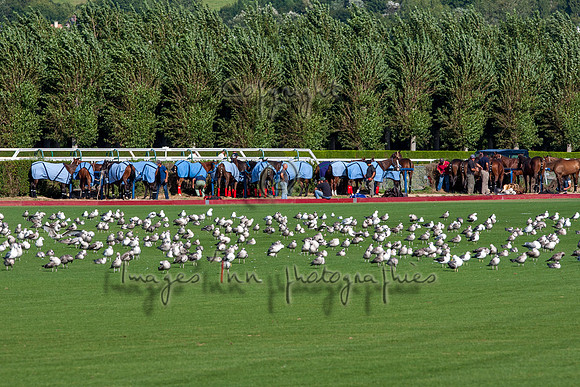 20090826_EKL_0019