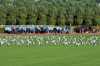 20090826_EKL_0020