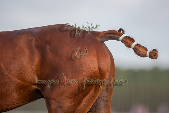 20090828_EKL_0129
