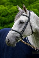 20080607_EKL_0001