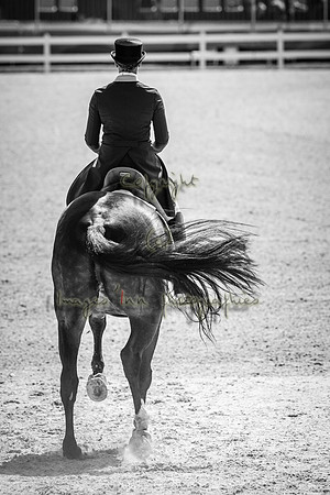20160815_EKL_0079