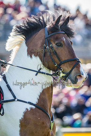 20150418_EKL_0084