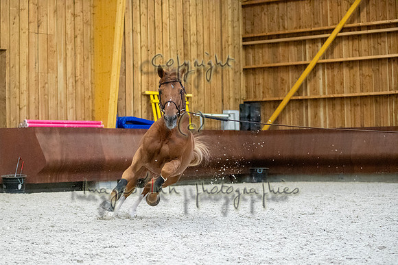 20180116_EKL_0092