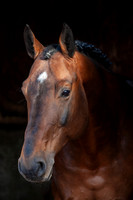 20081003_EKL_0006