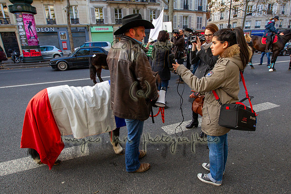 20131111_EKL_0094
