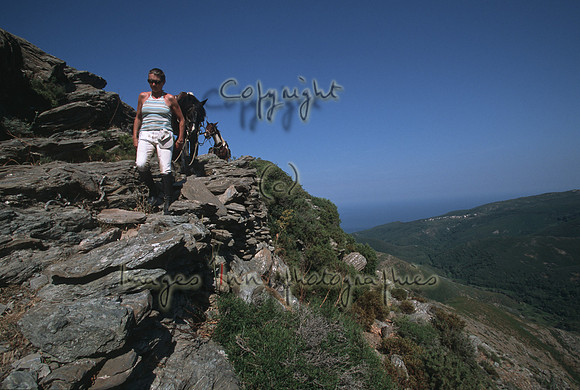 Cap Corse 10