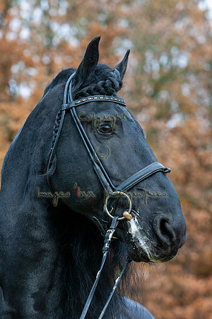 20061119_EKL_0021