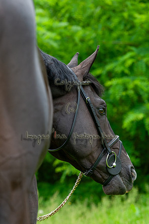 20080607_EKL_0106