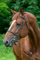 20080607_EKL_0044