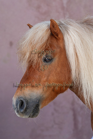 20090624_EKL_0076