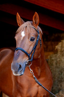 20081025_EKL_0017