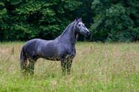 20110531_EKL_0011