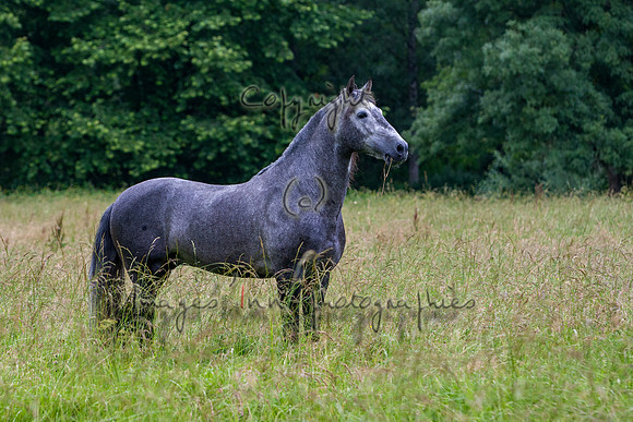 20110531_EKL_0011