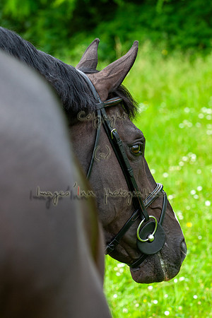 20080607_EKL_0104