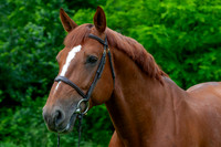 20080607_EKL_0051