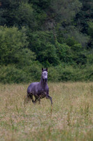 20110531_EKL_0002