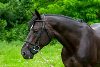 20080607_EKL_0088