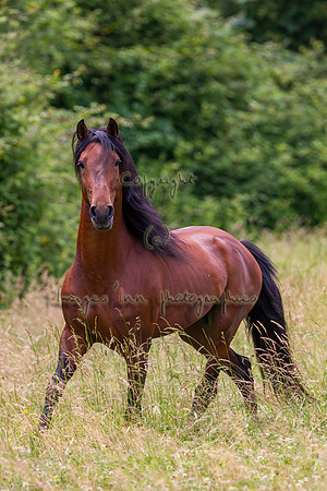 20110531_EKL_0070