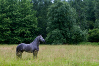 20110531_EKL_0013