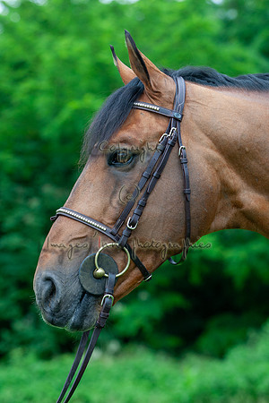 20080607_EKL_0038