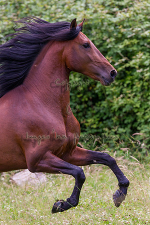 20110531_EKL_0083