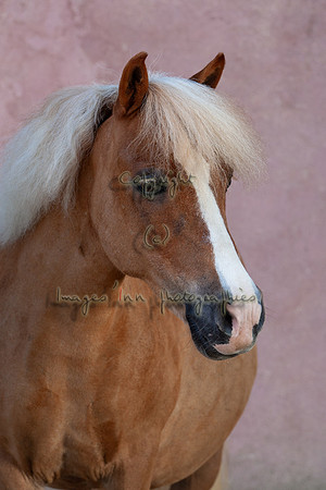 20090624_EKL_0002