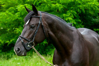 20080607_EKL_0087