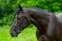 20080607_EKL_0090