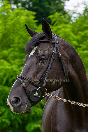 20080607_EKL_0078