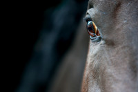 20080606_EKL_0003