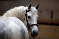 20081030_EKL_0021