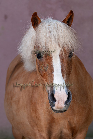 20090624_EKL_0009