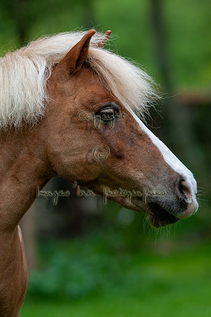20090502_EKL_0001