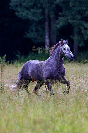 20110531_EKL_0034