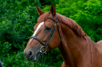 20080607_EKL_0053