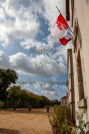 20081003_EKL_0140
