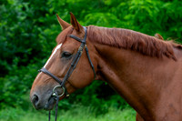 20080607_EKL_0059