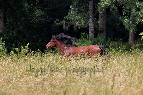 20110531_EKL_0062