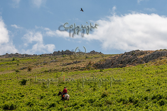 20090610_EKL_0072