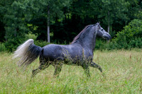 20110531_EKL_0020