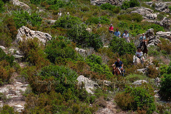 20090610_EKL_0043